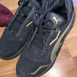 Black and gold pumas